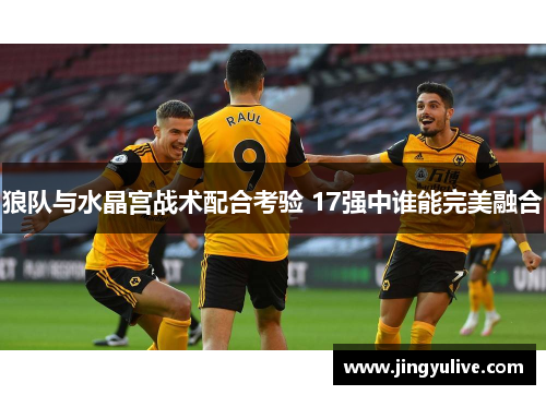 狼队与水晶宫战术配合考验 17强中谁能完美融合 狼队与水晶宫战术配合考验 17强中谁能完美融合